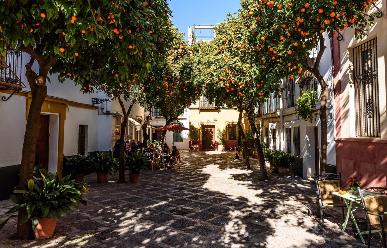 Wish Suite La Mata De Sevilla 외부 사진